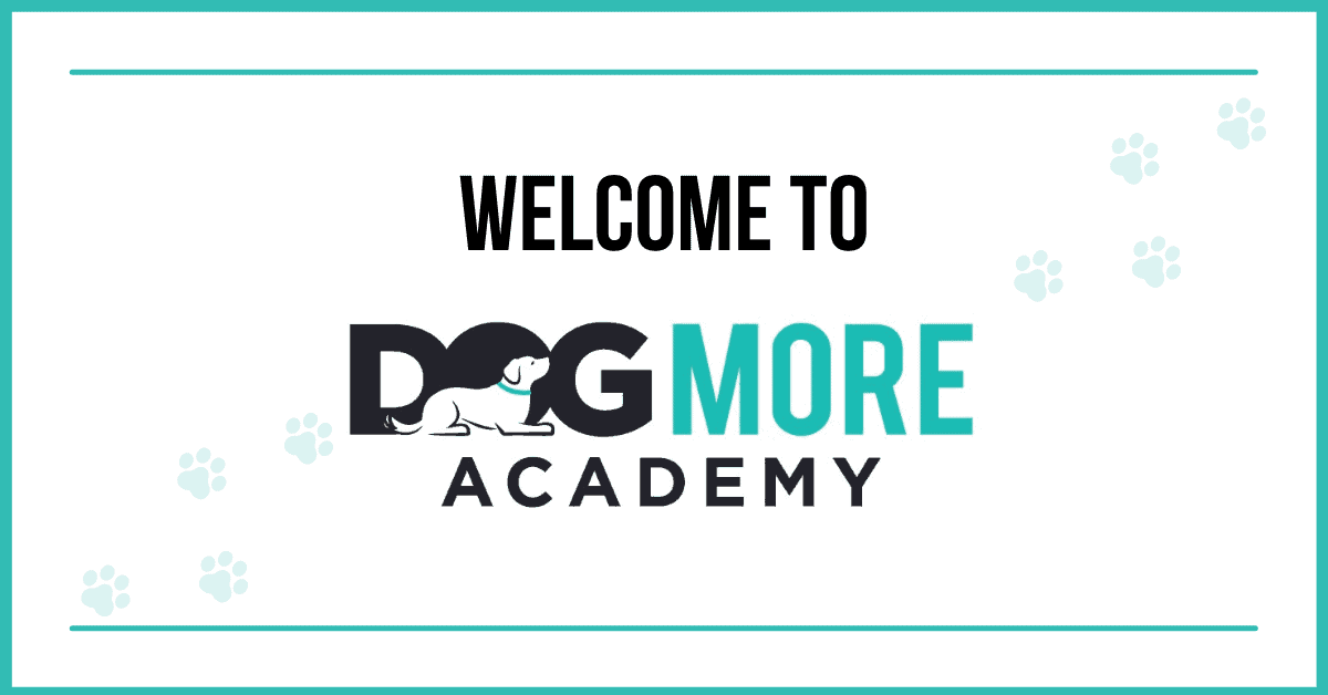 You are currently viewing Welcome to DogMore Academy!