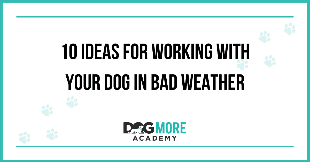 10 Ideas For Working With Your Dog In Bad Weather