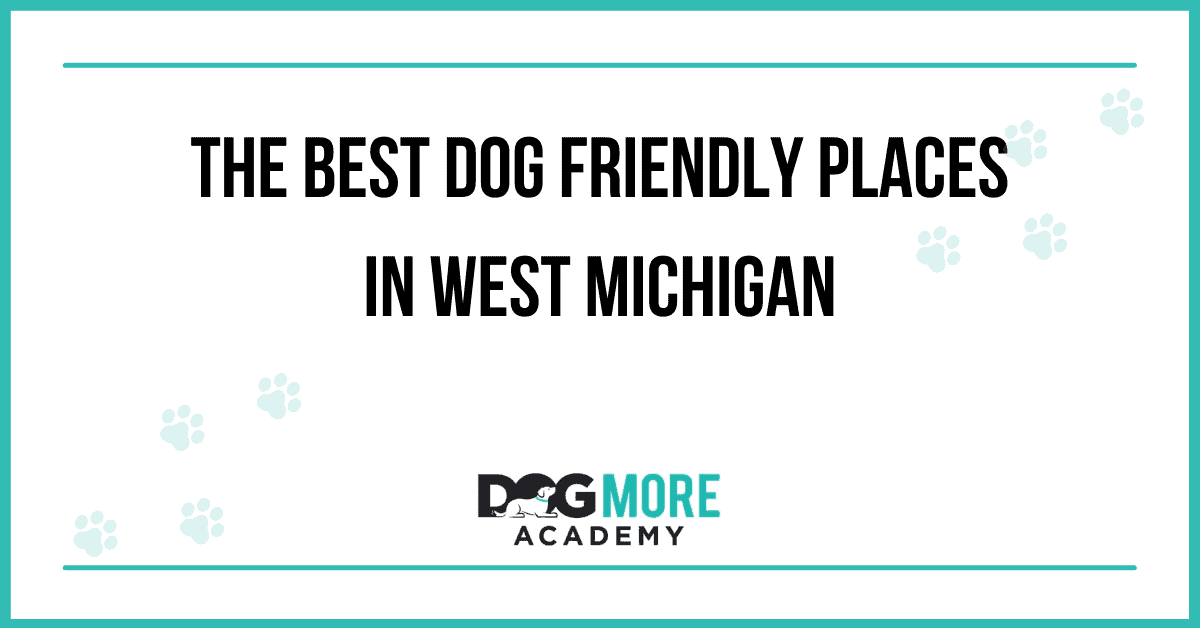 18 of the Best Dog Friendly Places In West Michigan