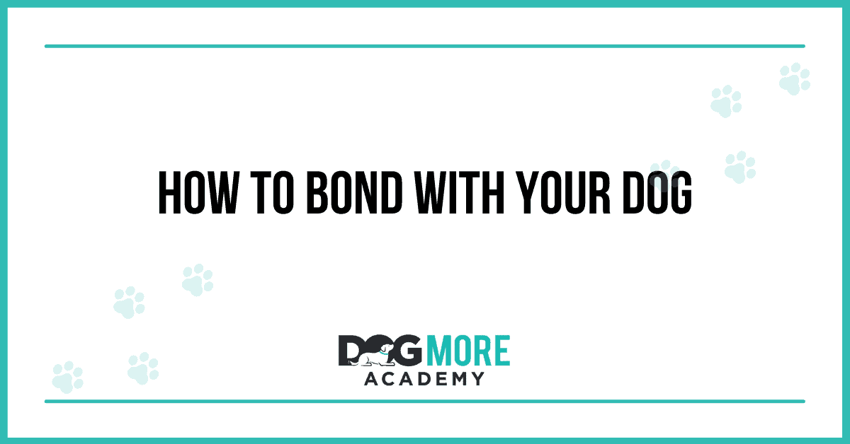 How To Bond With Your Dog
