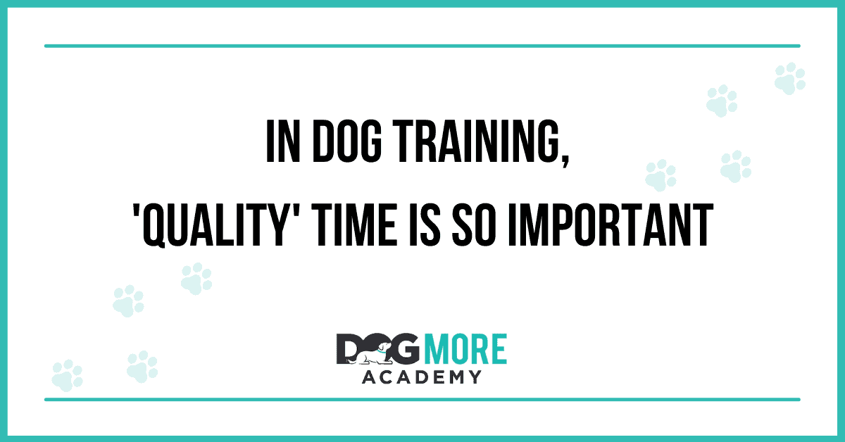 In Dog Training, ‘Quality’ Time Is So Important